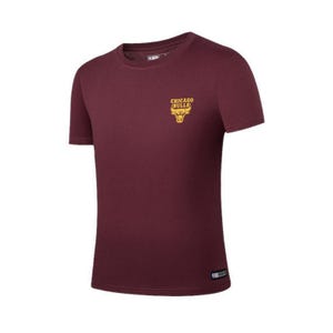 NBA Urban Lines Men Back Rubber Print Regular Fit T-Shirt Chicago Bulls - Burgundy