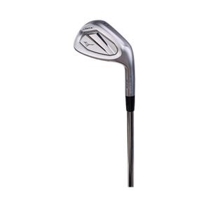 JPX925 Forged NSPRO95 Flex R Men's Iron Set - Silver