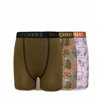 Dinosaur 3 Packs Boys - Brown