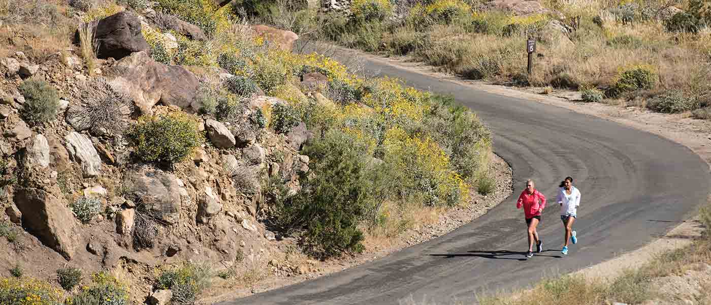6 Ways to Enjoy Long Run